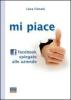 Mi piace, Facebook spiegato alle aziende