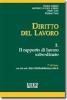 Diritto del lavoro vol.2