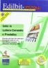 Solai in latero cemento e predalles. Con CD-ROM