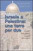 Israele e Palestina: una terra per due. Le radici della guerra, le parole del conflitto