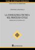 La consulenza tecnica nel processo civile. Problemi e funzionalit�