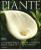 Piante. La grande enciclopedia illustrata della flora di tutto il mondo