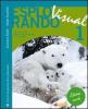 Esplorando visual. Ediz. verde. Con espansione online. Per la Scuola media vol.1