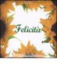 Felicit�