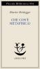 Che cos'� la metafisica?
