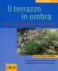 Il terrazzo in ombra. Fiori e verde anche senza sole
