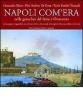 Napoli com'era nelle gouaches del Sette e Ottocento