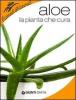 Aloe. La pianta che cura