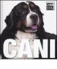 Cani