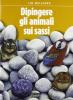 L' arte di dipingere gli animali sui sassi