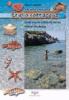 Giglio sott'acqua. Guida ai pesci e altra vita marina. Itinerari snorkeling. Con pinne e maschera vol.2