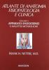 Apparato endocrino