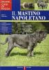 Il mastino napoletano. Guida illustrata