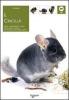 Il cincill�