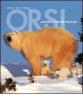 Orsi