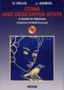 Coma and vegetative state. Con CD-ROM