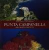 Punta Campanella
