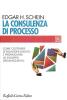 La consulenza di processo. Come costruire le relazioni d'aiuto e promuovere lo sviluppo organizzativo