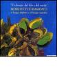 �Il silenzio del blu e del verde�. Morlotti e Biamonti. Catalogo della mostra (Alessandria, 10 dicembre 2004-20 febbraio 2005)