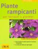 Le piante rampicanti per terrazzi e giardini