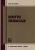 Diritto sindacale