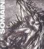 Somaini. Sculture, dipinti e disegni 1950-2001