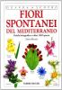 Fiori spontanei del Mediterraneo