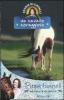 Un cavallo coraggioso. Storie di cavalli vol.8