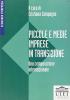 Piccole e medie imprese in transizione. Una comparazione internazionale