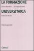 La formazione universitaria. Pratiche possibili