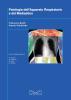 Patologie dell'apparato respiratorio e del mediastino
