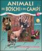 Animali dei boschi e dei campi