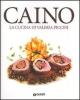 Caino