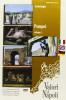 Pompei. Ediz. italiana, inglese e tedesca. DVD vol.1