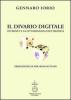 Il divario digitale. Internet e la cittadinanza elettronica