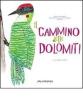 Il cammino delle Dolomiti