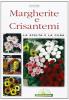 Margherite e crisantemi