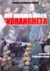 Nel mirino della 'ndrangheta