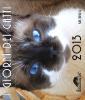 I giorni dei gatti. Calendario 2013