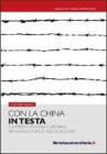 Con la china in testa. Fumetto e memoria culturale per una lettura di Maus e Palestina. eBook