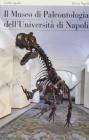 Il museo di paleontologia dell'Universit� di Napoli