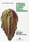 Animali e piante fossili della Sardegna