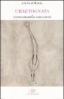 Chaetognatha vol.39