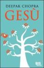 Ges�. Un racconto di illuminazione