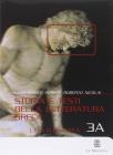 Storia e testi della letteratura greca-Esercizi e percorsi. Per le Scuole superiori vol.3