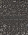 Quadrivium. Numero, geometria, musica, astronomia