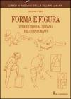 Forma e figura