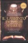 Il labirinto dei libri segreti. eBook
