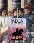 Padua. City of art and light