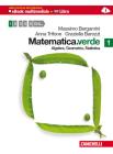 Matematica.verde. Algebra. Geometria. Statistica. Con espansione online. Per le Scuole superiori vol.1